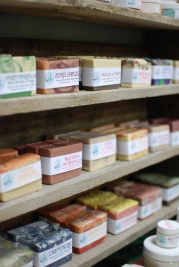 Larocque_Marie-Claude1