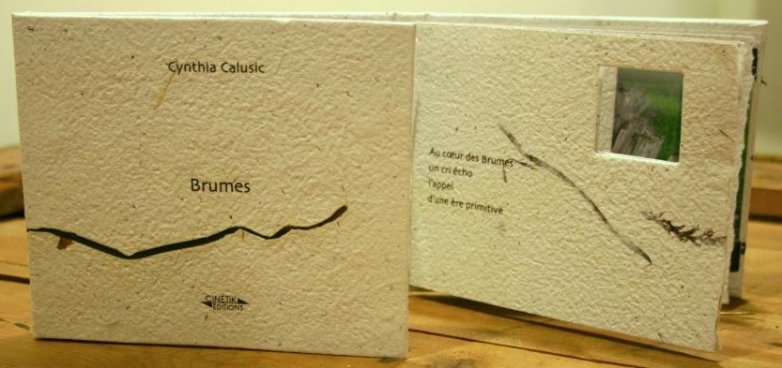 Cynthia Calusic 2