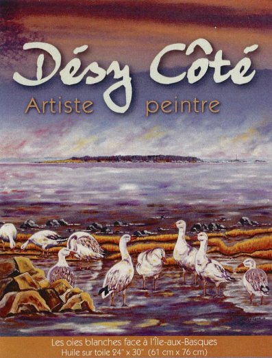 Désy Côté_2 Les oies blanches face à l'île-aux-Basques